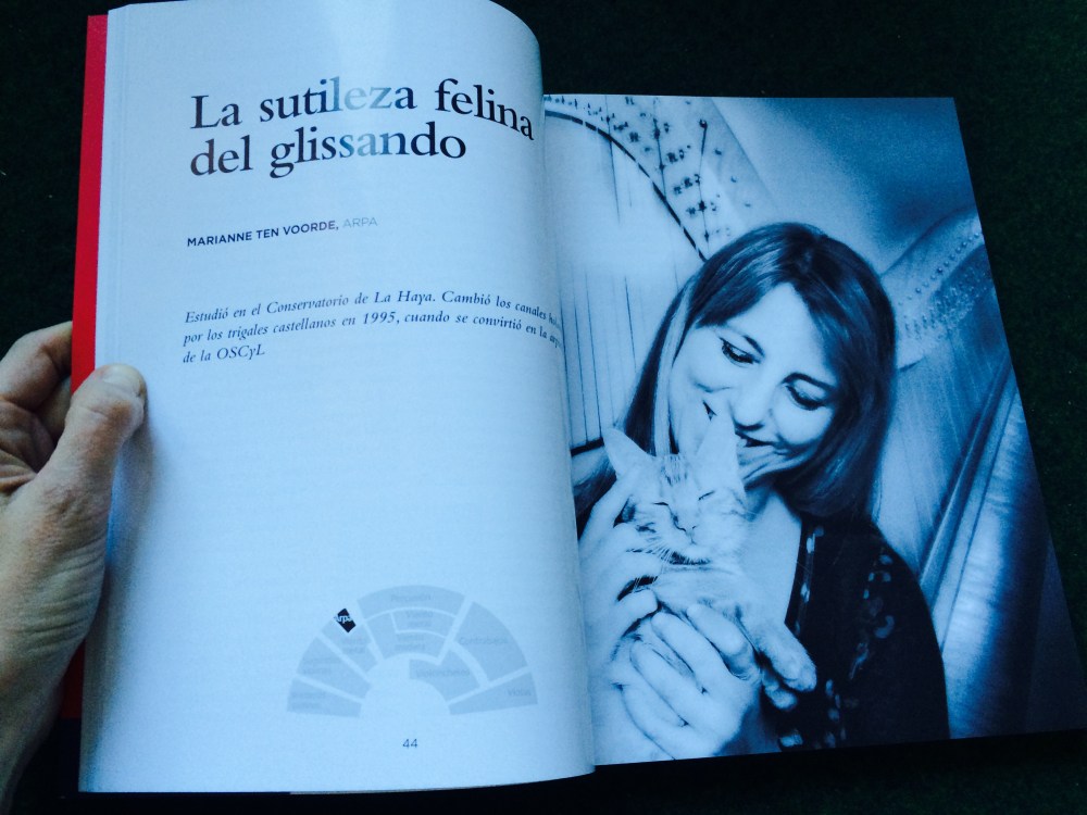 FullSizeRender (1).jpg